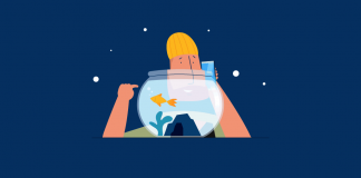 Khoảng chú ý của con người ngắn hơn của cá vàng khoảng chú ý của con người